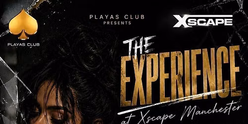 THE EXPERIENCE - Afrobeats\/HipHop\/Amapiano\/RnB\/DanceHall