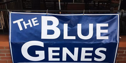 FOOTHILLS Grill and Tap King NC