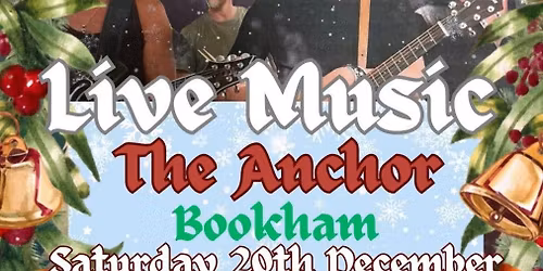 FTB Christmas gig at The Anchor Pub Bookham 