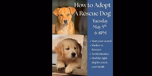 How to Adopt a Rescue Dog