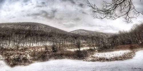 Hike at Gordon Douglas Reserve - West