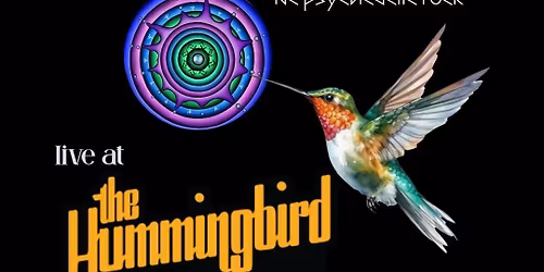 Council Ring live at The Hummingbird