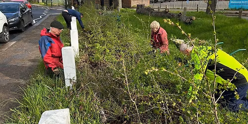 Saturday Conservation Volunteering Session
