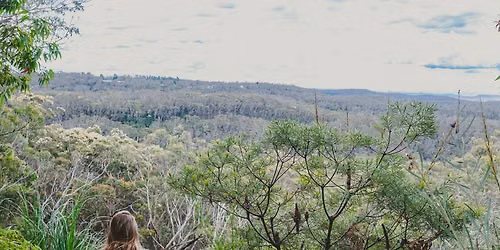 \u2728\ud83d\udc9b Silent Meditation Retreat | September 4-6