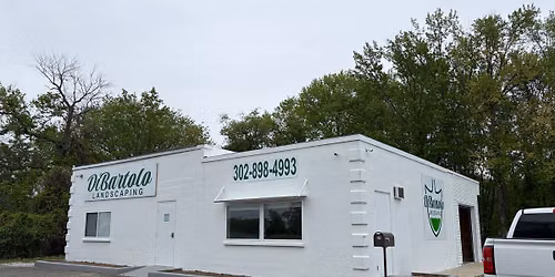 Grand opening 