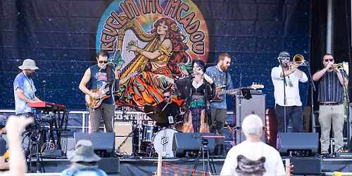 Terrafunk at Chianti