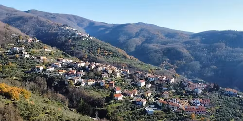 Festa della Castagna