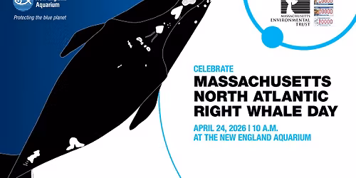 Massachusetts North Atlantic Right Whale Day!