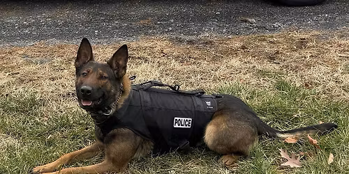 Chief's Community Advisory Board Summer Session