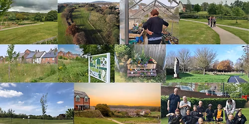 Lightmoor Village Green Gang