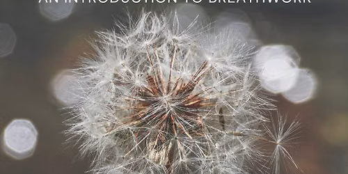 Pranayama: An Introduction to Breathwork with Emily Fasnacht