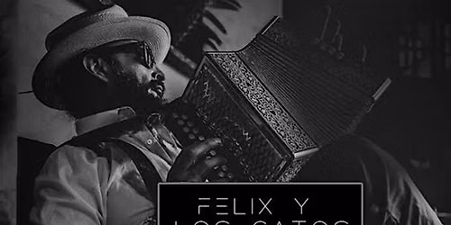 Live Music - Felix y los Gatos