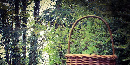 Willow workshop. Make your own Berry basket.