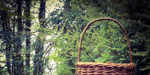 Willow workshop. Make your own Berry basket.