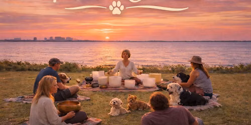 Paws to Connect: A Sound Healing Journey for You & Your Dog