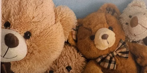 Teddy Bears Picnic!