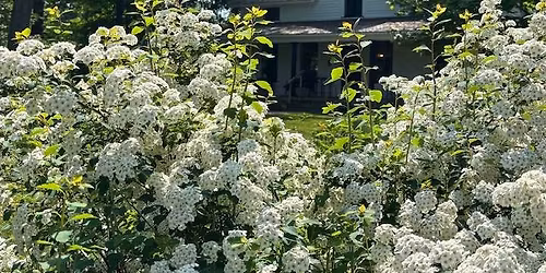 Spring Cleanup morning