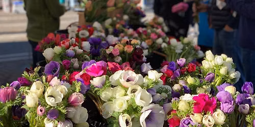 Wednesday Market