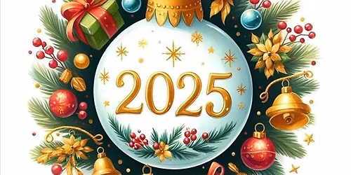 Christmas lights switch on