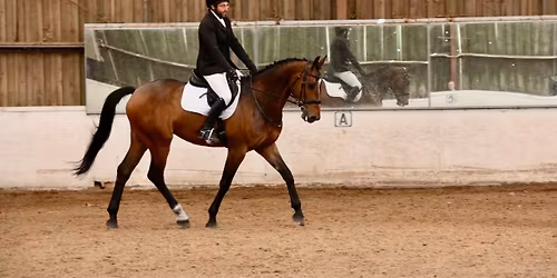 RAECTI Winter Dressage Accumulator Series