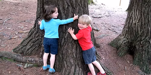 Fledgling Naturalists:  Busy Beavers