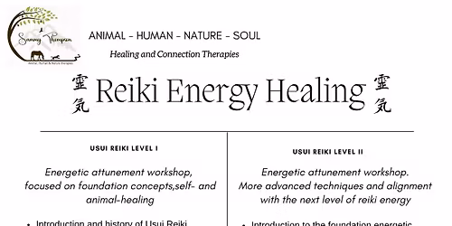 Reiki Energy Healing, Usui Reiki Level II