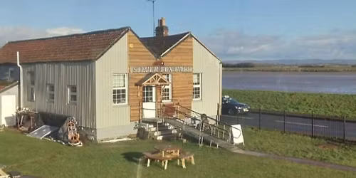 Spring Silver Fox Social Run