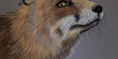 Fox Pastels Workshop with Roxy 