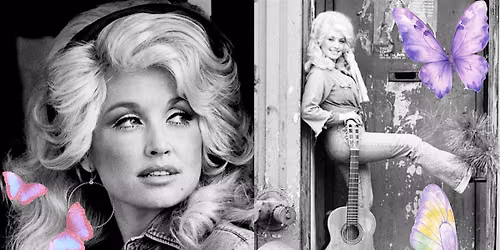 Dolly & Downdog: Tribute and Donation Class