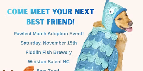 Dog Adoptions @ Fiddlin Fish!