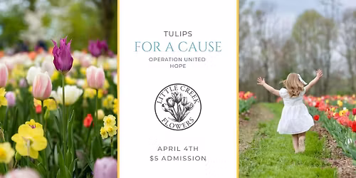 Tulips for a Cause - Operation United Hope Veterans Donation Drive