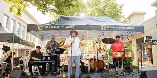 Willie Villegas Summer Fest Concert