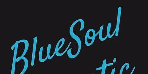 Bluesoul Acoustic @ Lincoln Gardens