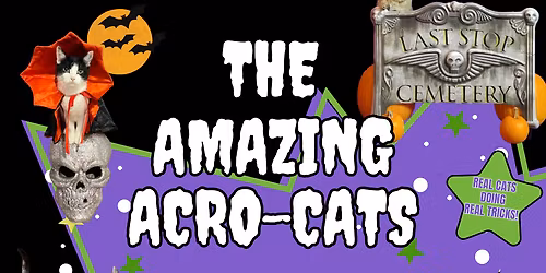 The Amazing Acro-Cats - Meowloween in June Special at Diana Wortham Theatre at Wortham Center for the Performing Arts