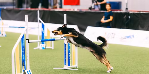 15.11. i 16.11. AGILITY COMPETITION ( Finale PH & kvalifikacije JOSP\/EO 2026.)