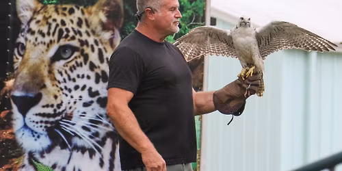 Wild World of Animals