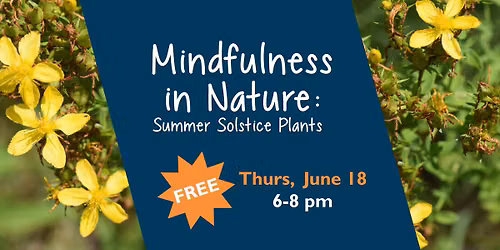 Mindfulness in Nature: Summer Solstice Plants