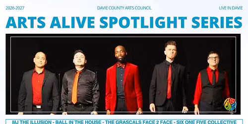 Ball in the House | Davie County Arts Council