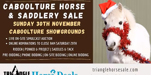 November Caboolture Horse Sale