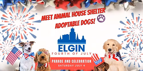 Elgin 4th of July Pet Parade
