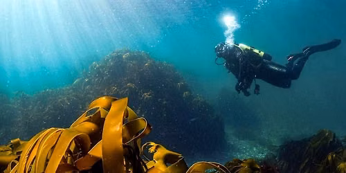 PADI Open Water Diver Course (3 days) - FULLY BOOKED