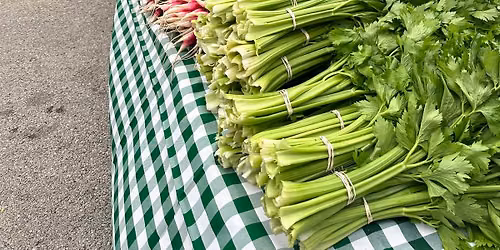 Oak Park Farmers' Market