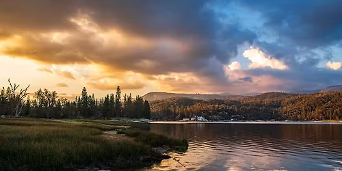 Oakhurst Christmas Bird Count