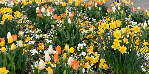 Early Spring Stammtisch (Hopefully!)