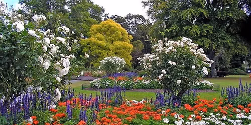 Movement, Walking & Meditation in the Botanic Garden