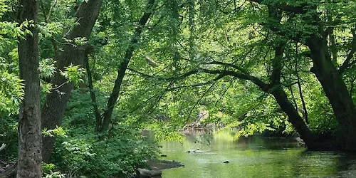 Environmental Advisory Committee Meetings
