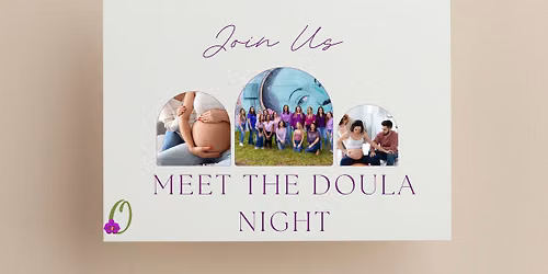 Meet The Doula Night