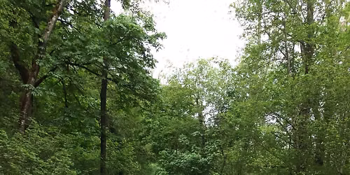 Wildlife Totem Walk