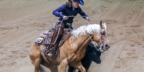 Performance Horse Showdown - Sat. Jan. 9 2pm