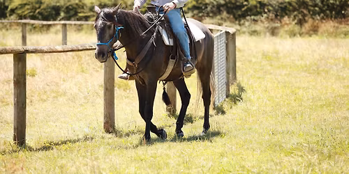 Green Horse Experience Week